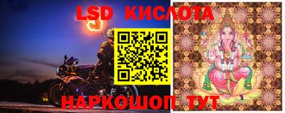 ГАЛЛЮЦИНОГЕННЫЕ ГРИБЫ Краснознаменск