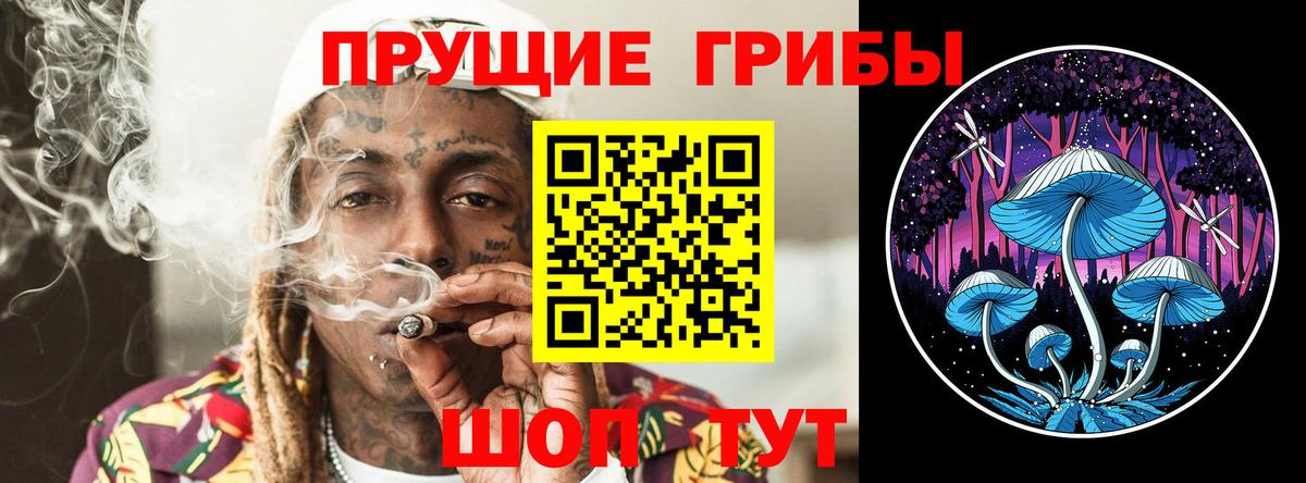 Псилоцибиновые грибы Psilocybine cubensis  Краснотурьинск 