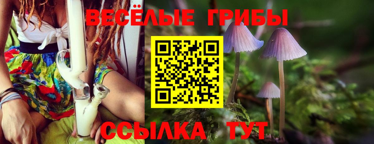 Псилоцибиновые грибы Psilocybe Краснотурьинск